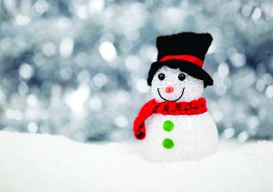 Christmas Snowman Decoration