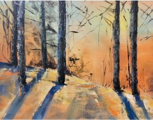 Winter Forests Long Shadows