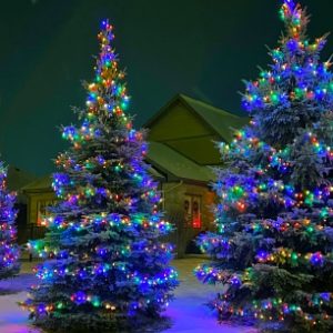 Holiday Christmas Trio