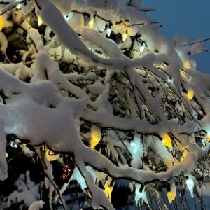 Magic Holiday Nights