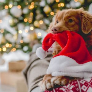 Did you forget something