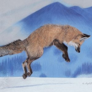 Red Fox